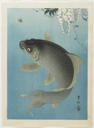 鯉の跳躍、1930年代